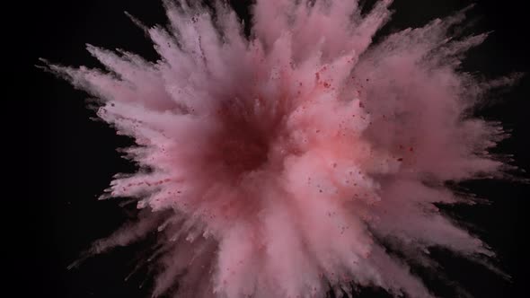 Colorful powder/particles fly after being exploded against black background. Slow Motion.