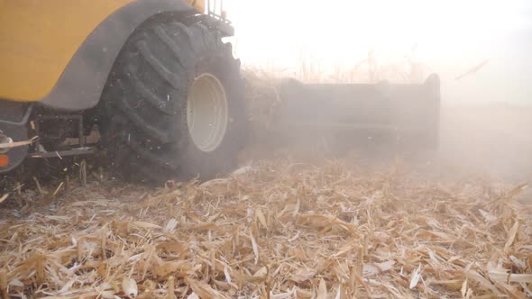 Harvester Gathering Corn Crop in Farmland