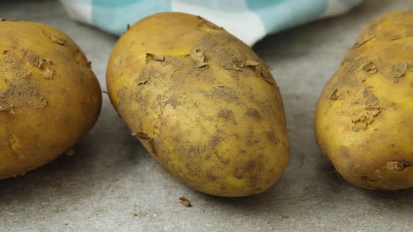 Fresh picked Frieslander potatoes from the garden 