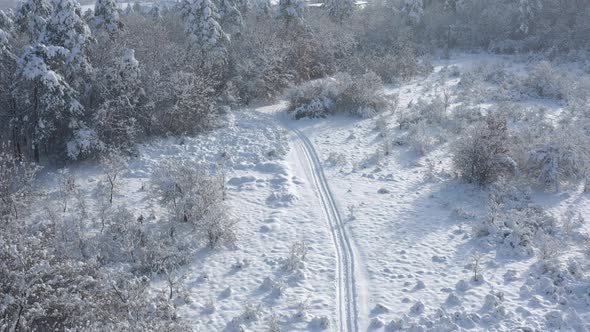 Above the woods after snowing 4K aerial video