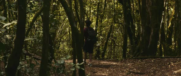 Man walks through forest