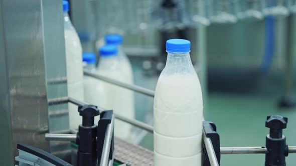 Milk bottles on conveyor belt.