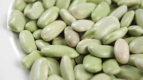 Spanish traditional verdina green beans. Full white bowl. Macro. Slow rotation