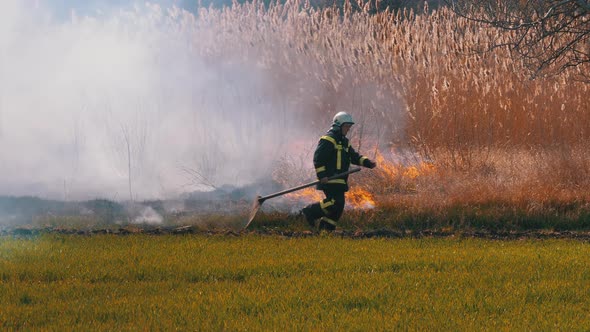 Fireman with a Shovel Runs Through a Burning Dry Bush and Reed Near the Forest.