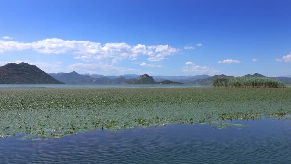 View From Moving Boat on Famous Lake Skadar