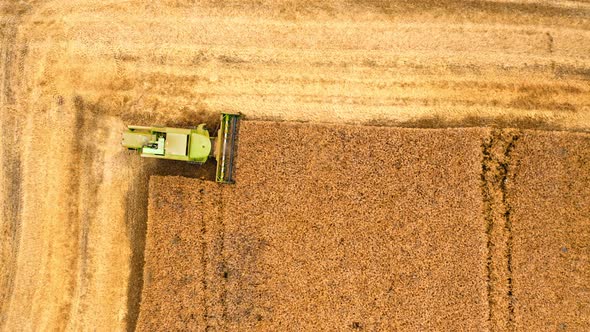 Flying above combine working on field in summer