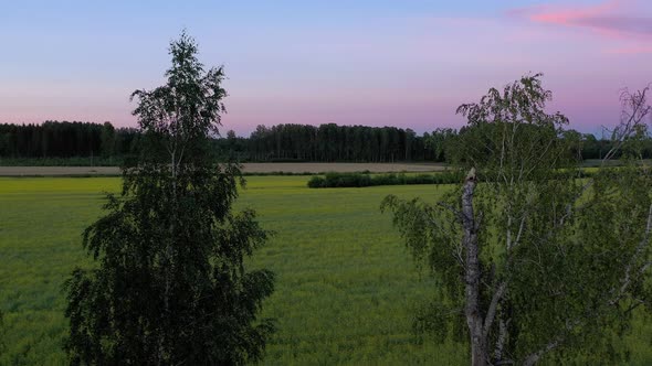 Aerial View After Sunset