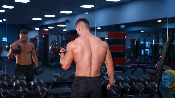 Athletic man working out with dumbbell