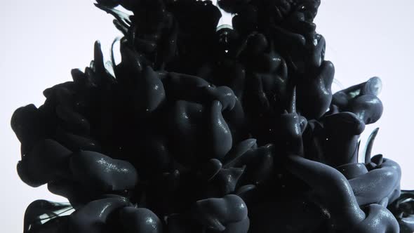 Black Color Paint Drops in Water Against White Background alt