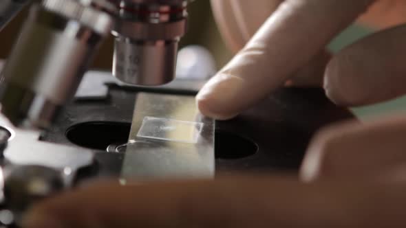 Scientist Studying Specimen With Microscope