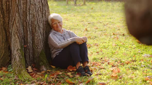 Greyhaired Woman is Resting Under the Tree in Park Autumn Full Shot Selective Focus