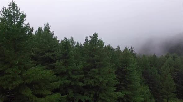 Clouds and Fog among Mountain