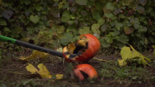 A Halloween Pumpkin Lies on the Ground and Was Chopped Up with an Ax