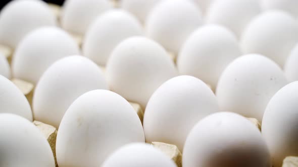 Chicken Eggs in a Cardboard Box