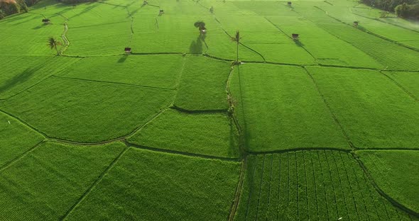 Landscape Nature Indonesia