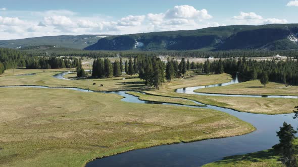 Cinematic Wilderness Nature Landscape Winding River Green Meadow Pine Forest