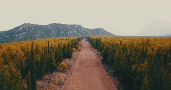 Forest road autumn winter road mountain