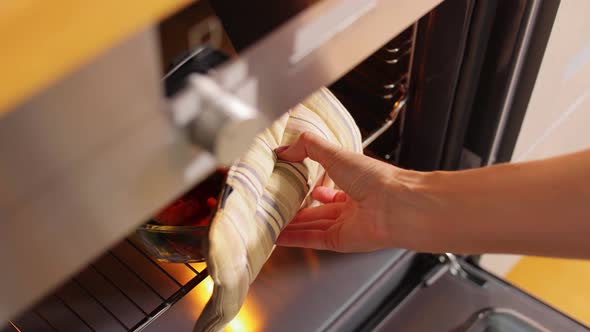 Woman Cooking Food in Oven at Home Kitchen