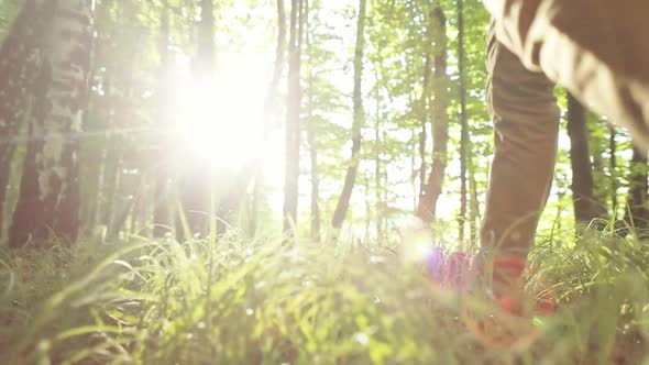 Happy Hikers Walk Through The Woods.