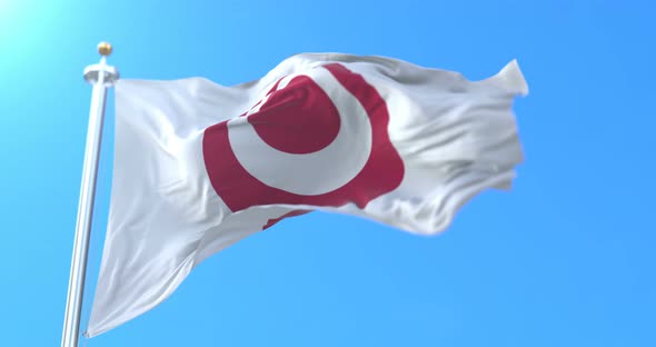 Okinawa Flag, Japan