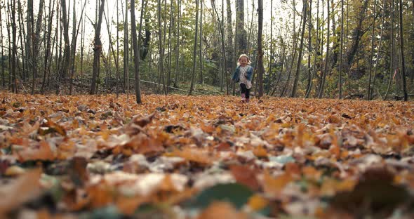 Adorable Little Girl Running On Fall Season Leaf Pile In The Woods alt
