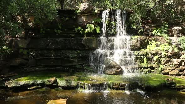 Waterfall at Zilker Park