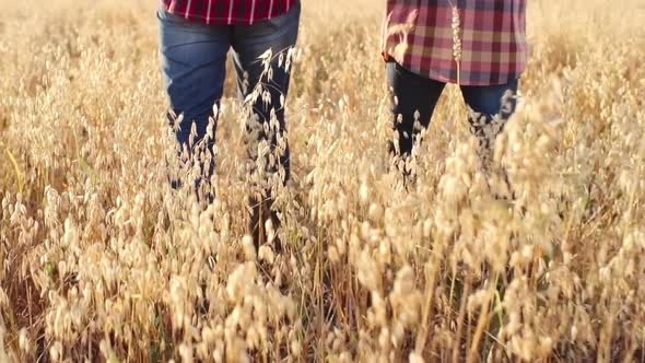 Young Farmer Walking with Father among Crops