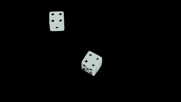 Dice Roll Four And Four Making 8 