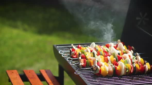 Colorful and Tasty Grilled Shashliks on Outdoor Summer Barbecue