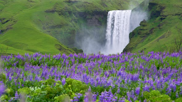 Skogafoss Waterfall in Iceland in Summer