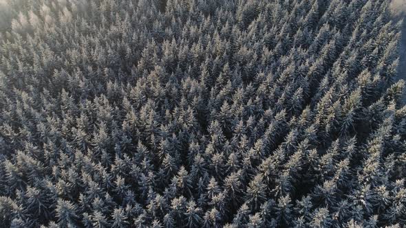 Winter Landscape in Countryside