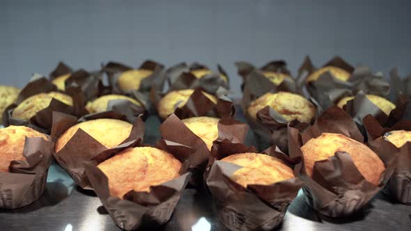 Many Cupcakes on a Tray and a Woman's Hand Takes One Muffin in a Cafe or Pastry Shop