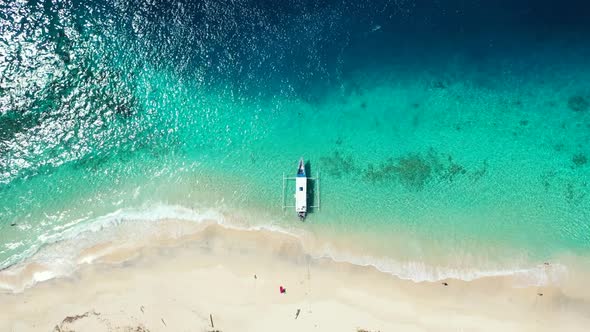 Aerial above travel of paradise resort beach wildlife by transparent water and clean sand background