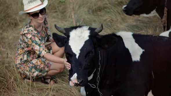 Female Farmer In Sunglasses Hand Strokes Cow In Grass Field On Countryside Ranch. Farm Animals.