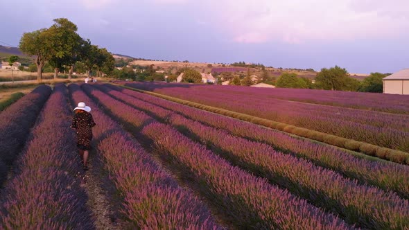 Valensole Provence France Top Aerial View