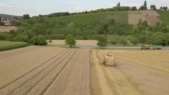 Harvester filmed from behind up close. Camera ising towards subject. In the background trailers full