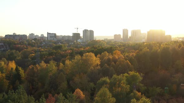 Beautiful Aerial View of Autumn City Park and Botanic Garden with Cable Car Between Multi Colored