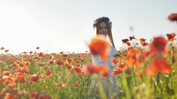 A Russian Girl with a Blue Wreath of Cornflowers Poses in a Field of Poppies