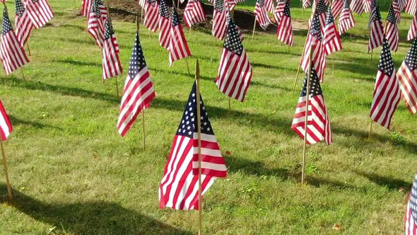 American flags on the green field fluttering in the breeze in the afternoon. Celebration of 4th July