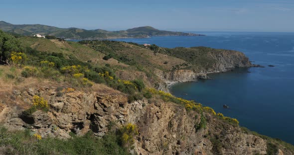 The  cap Rederis between Banyuls sur Mer and Cerbere, Pyrenees Oriantales department, France