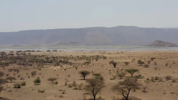 Aerial shot of Tanzania. Drone video savannah with dried grass, trees and bushes