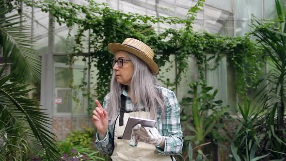 Grey-Haired Senior Woman in Hat Working with I-Pad in Own Greenhouse