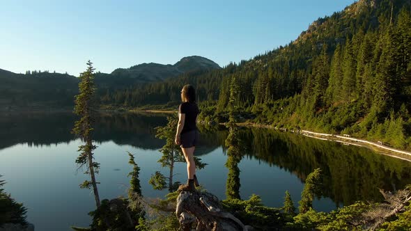 Girl Standing on Tree Stump Looking Out Over Scenic Lake