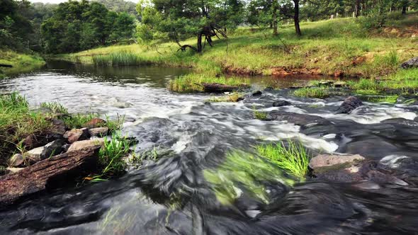 Low shot of a spring stream with running water with dolly pan and time-lapse alt
