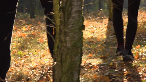 A Hiking Couple Walks Through a Forest on a Sunny Day - Rear View