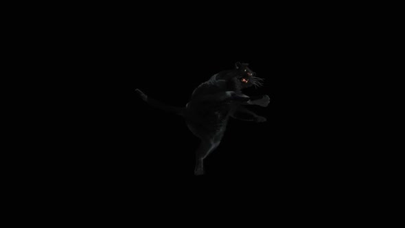 15 Panther Dancing HD