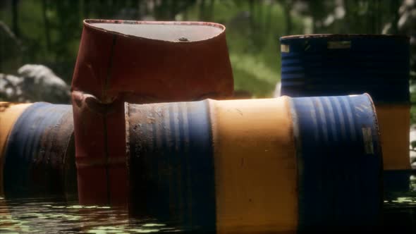 Rusty Barrels in Green Forest