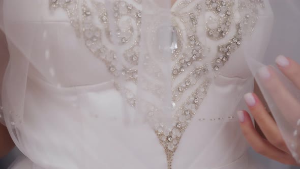 Closeup Portrait of a Bride in a Dress with a Veil That Covers Her Head