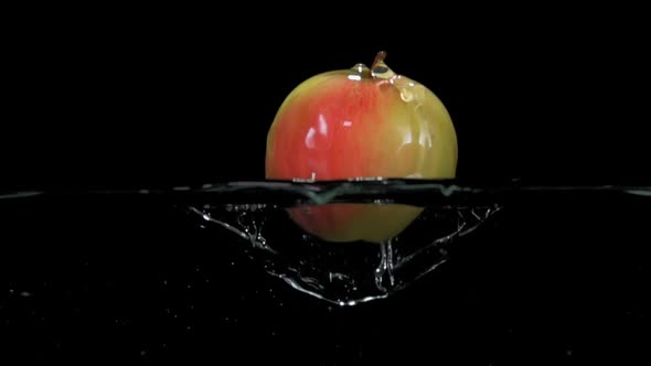 Closeup of Ripe Apple Bouncing From Water with Splashes of on Black Background