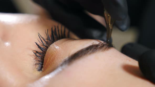 Beautician in Black Gloves Making Permanent Makeup Correction Eyebrows Shape